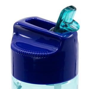 Garrafa Bluey