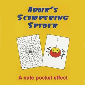 Adairs Scampering Spider