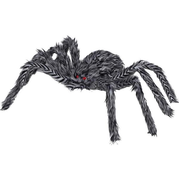 Aranha Peluda Cinzenta, 40 cm