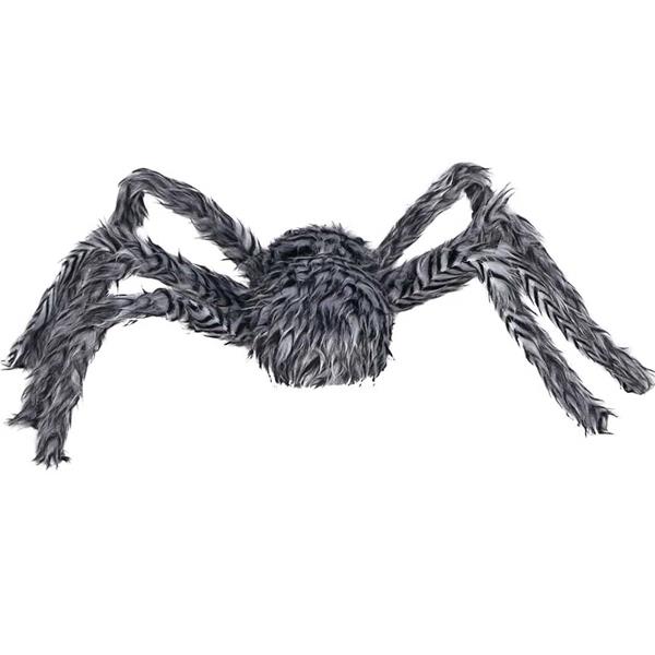 Aranha Peluda Cinzenta, 40 cm
