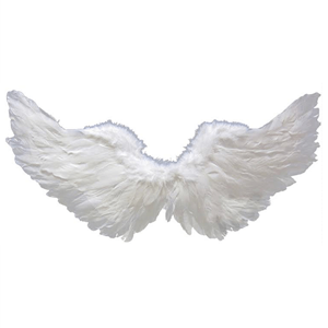 Asas Com Penas 70x40 cm