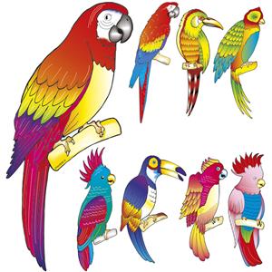 Aves Tropicais Decorativas