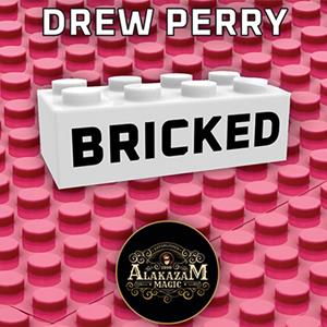 Bricked by Drew Perry