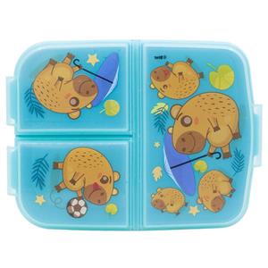Caixa 3 Divisórias Capivara Caixa 3 Divisórias Capivara