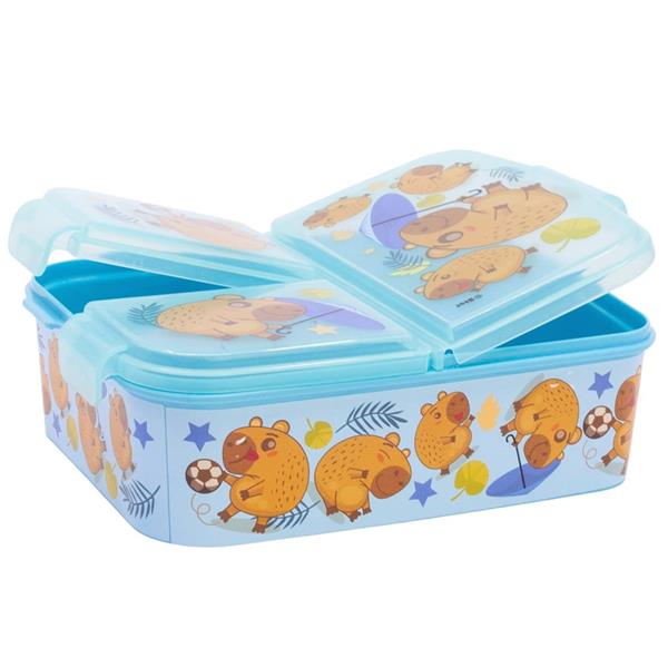 Caixa 3 Divisórias Capivara