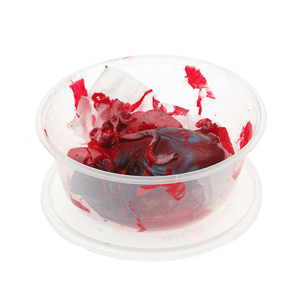 Caixa Plástica com Orgãos Humanos