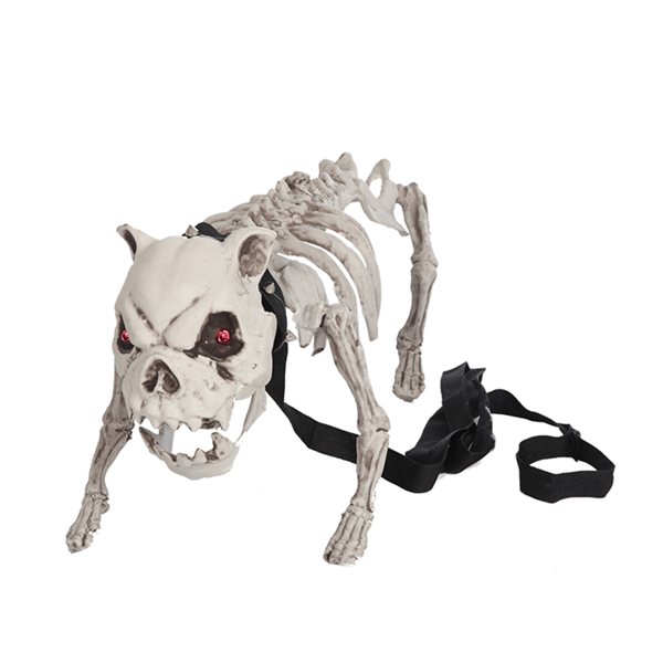 Cão Esqueleto