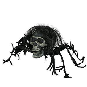 Caveira Assustadora com Patas de Aranha