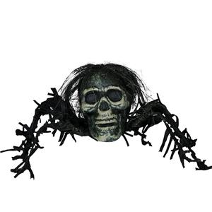 Caveira Assustadora com Patas de Aranha