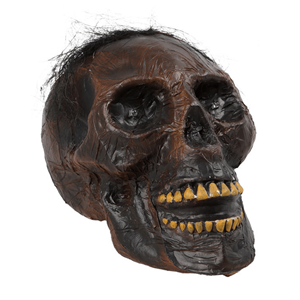 Caveira Decorativa com Luz, 19 x 22 cm