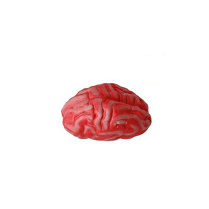 Cérebro em Plástico