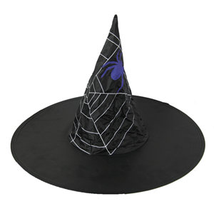 Chapéu Bruxa com Teia de Aranha em Tela