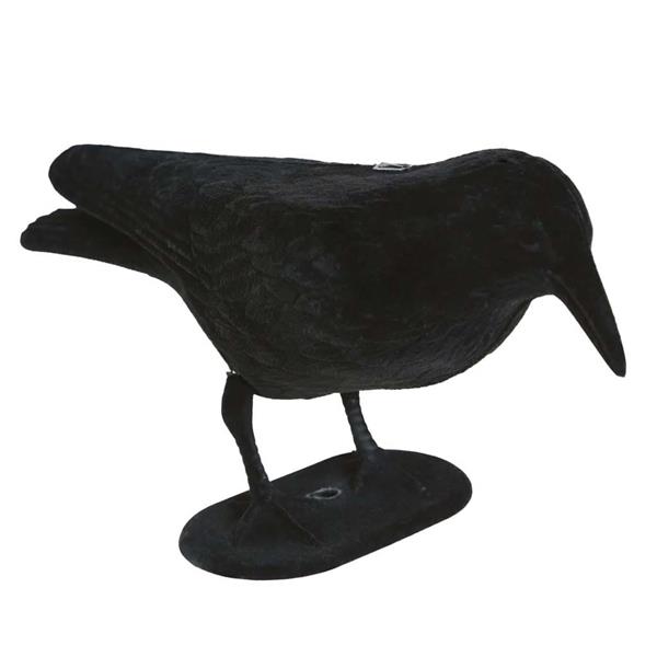 Corvo Preto Decorativo Corvo Preto Decorativo