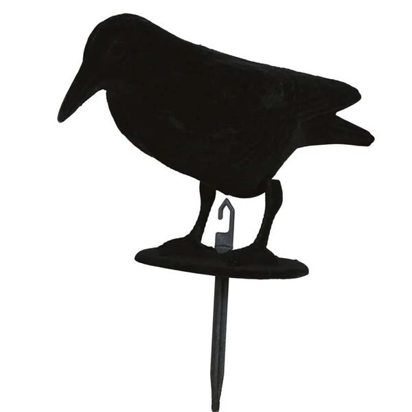 Corvo Preto Decorativo