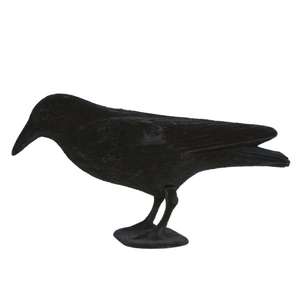 Corvo Preto Decorativo Corvo Preto Decorativo