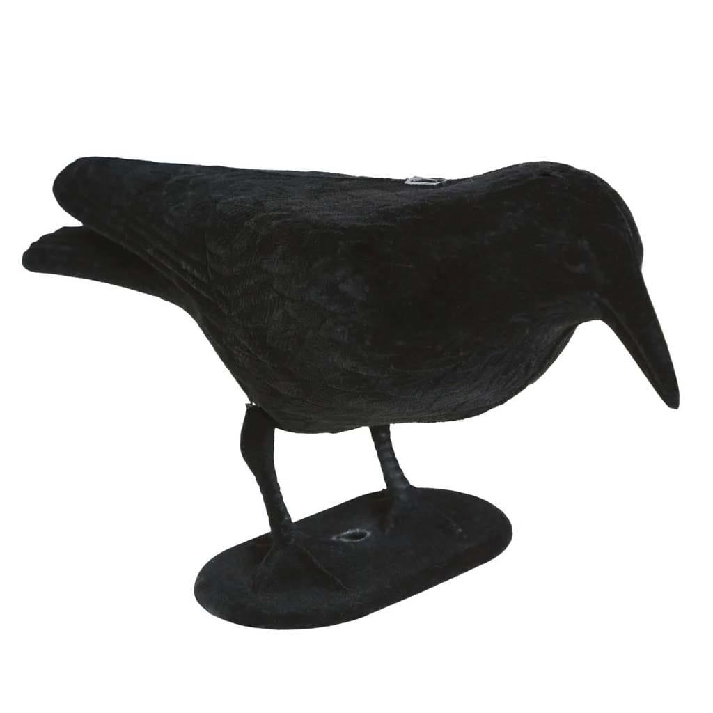 Corvo Preto Decorativo