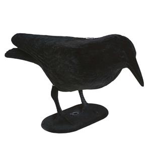 Corvo Preto Decorativo