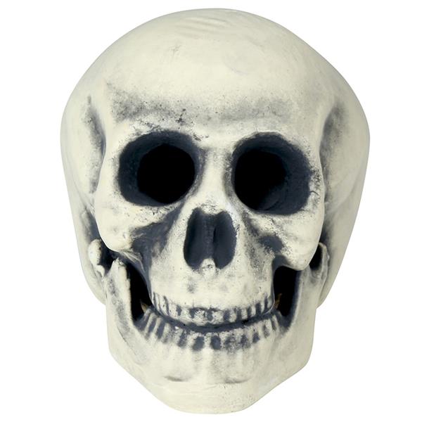 Crânio Caveira Assustadora Decorativa, 29 cm