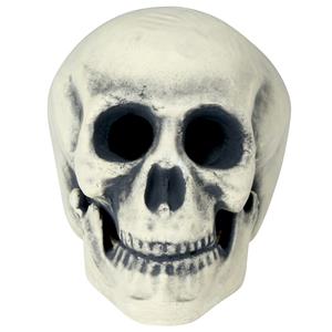 Crânio Caveira Assustadora Decorativa, 29 cm