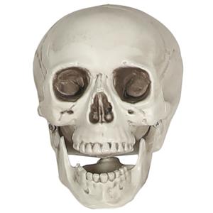 Crânio Caveira Terrorífica Decorativa, 19 cm