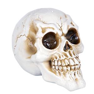 Crânio Terrorífico Decorativo, 14 cm