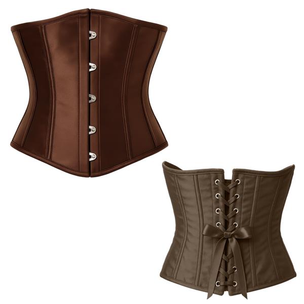 Espartilho Castanho, Adulto