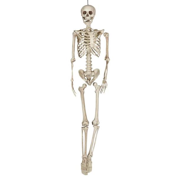 Esqueleto Articulado Decorativo, 160 cm