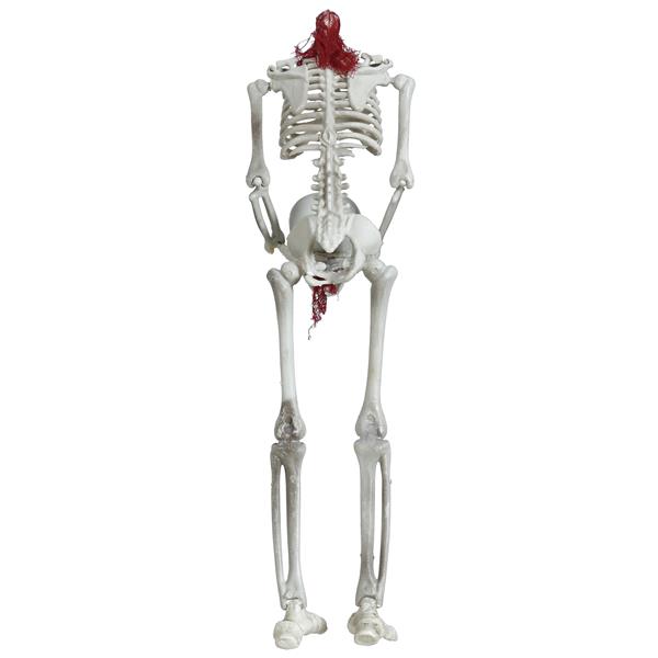Esqueleto Articulado Decorativo Decapitado