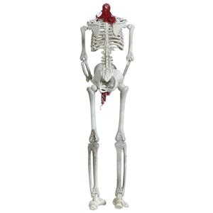 Esqueleto Articulado Decorativo Decapitado