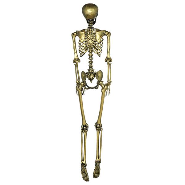 Esqueleto Articulado Decorativo Dourado, 1,60 mt