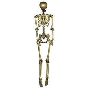 Esqueleto Articulado Decorativo Dourado, 1,60 mt