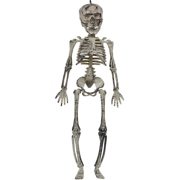 Esqueleto Decorativo, 30 cm