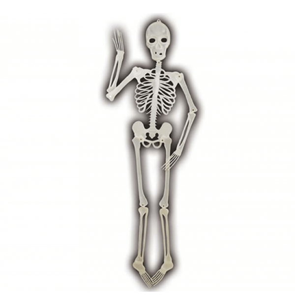 Esqueleto Fluorescente, 152 cm