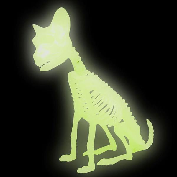 Esqueleto Gato Glow In The Dark Decorativo, 21 cm