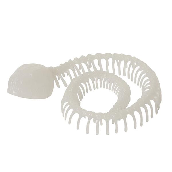 Esqueleto Serpente Glow In The Dark Decorativo, 18 cm