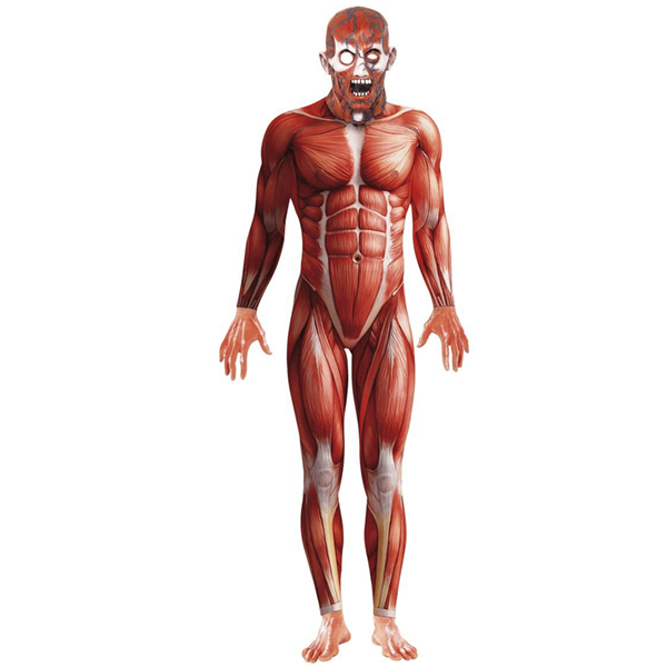Fato Halloween Anatomia Corpo Humano com Máscara Deluxe, Adulto