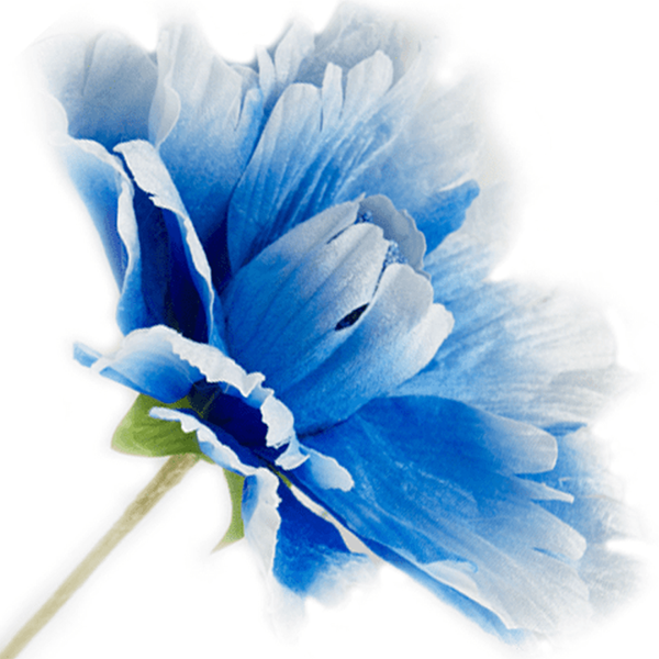Flor Azul Decoração