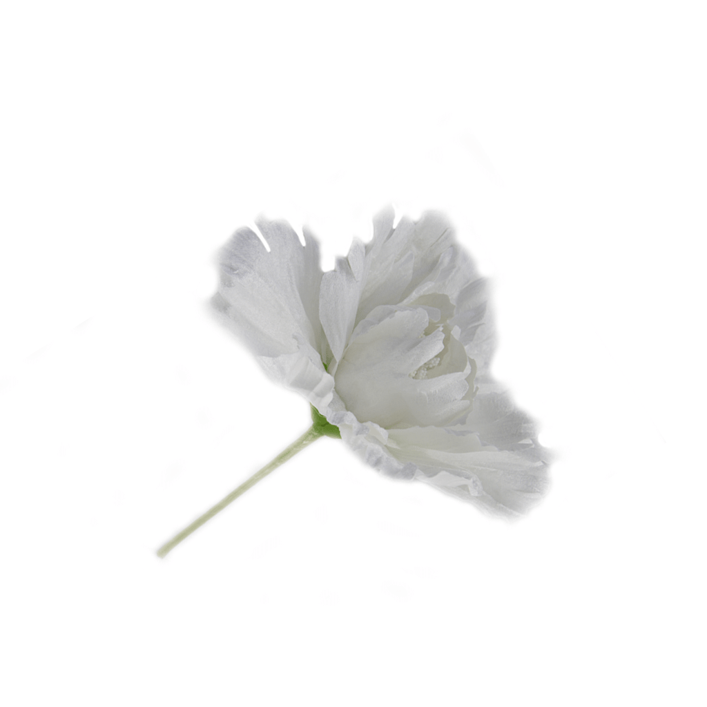 Flor Branca Decoração