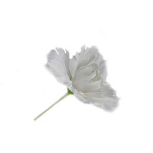 Flor Branca Decoração