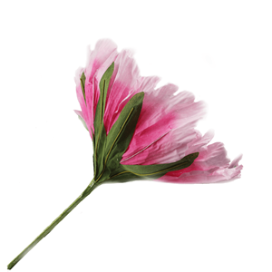 Flor Rosa Decoração