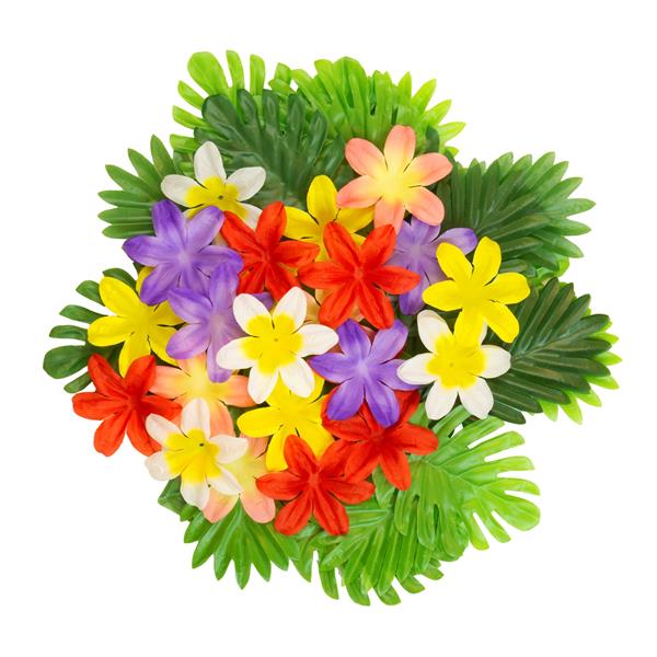 Flores e Folhas Tropicais Decorativas