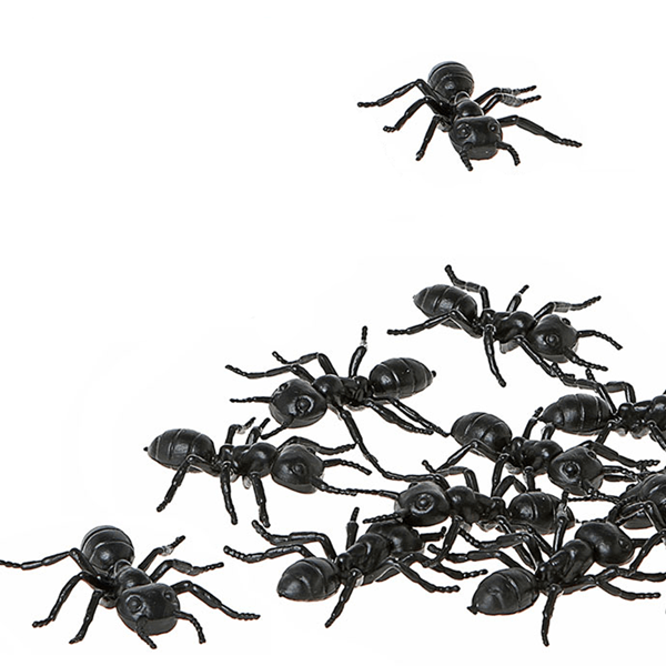 Formigas Pretas Halloween, 12 unid.