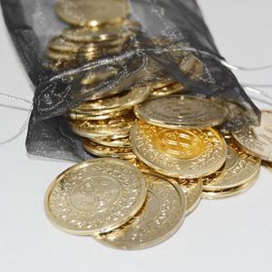 Moeda de Pirata