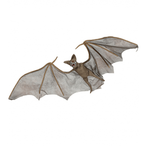 Morcego Decorativo