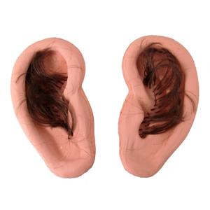 Orelhas Falsas com Pêlo