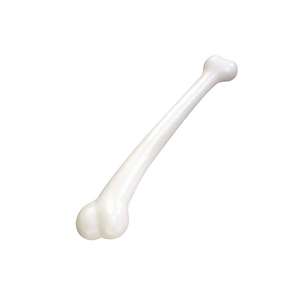 Osso Humano em Plástico, 40 cm
