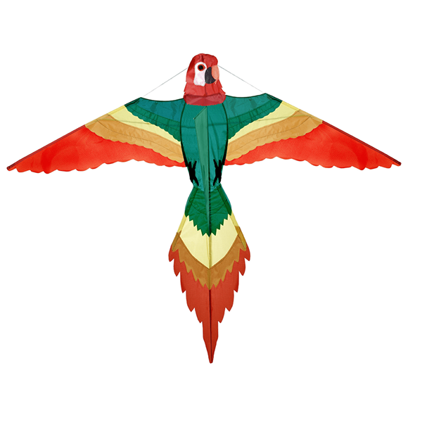 Papagaio de Vento Kite Colorido