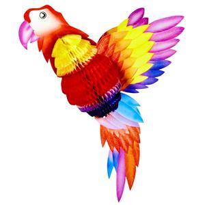 Papagaio Multicolor Decorativo
