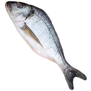 Peluche Peixe