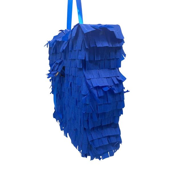 Pinhata Cabeça Sonic